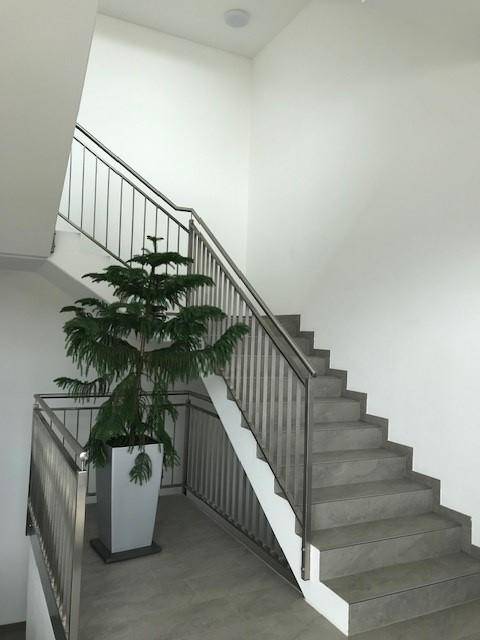 Modernes Treppenhaus mit Edelstahlgeländer und dekorativer Pflanze im Eingangsbereich.