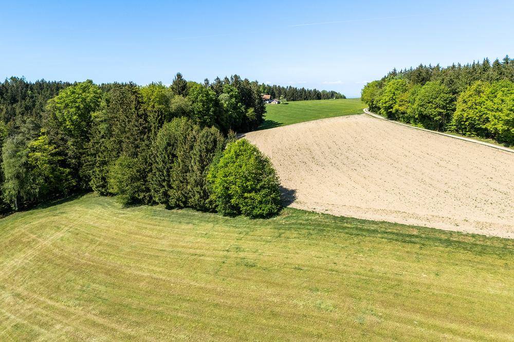Weitläufige Landschaft mit grünen Wiesen, Ackerland und dichten Wäldern unter blauem Himmel.