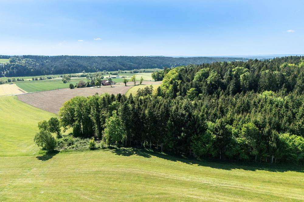 Panoramablick über weite Felder und dichte Wälder, mit einem Gebäude in der Ferne.