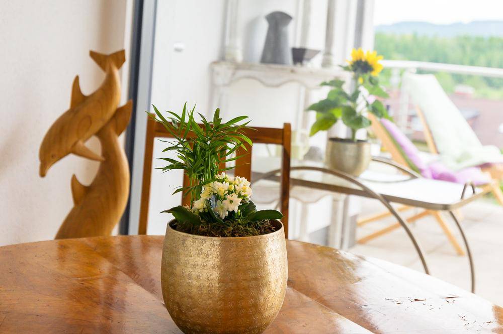 Topfpflanze auf einem Holztisch mit Blick auf den sonnigen Balkon im Hintergrund.