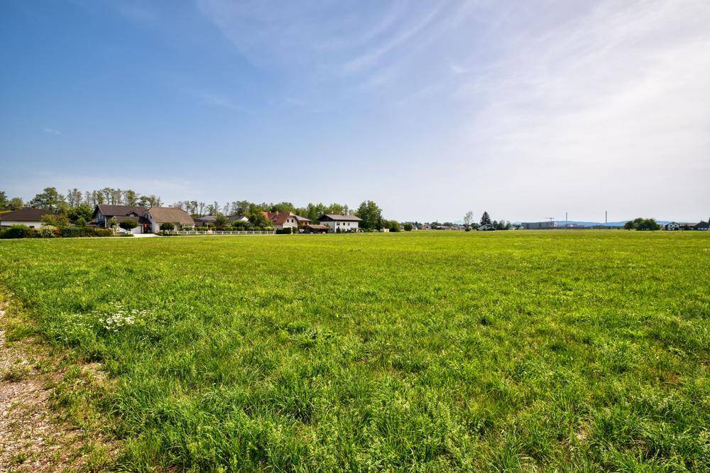 Weitläufige grüne Felder mit einer Siedlung im Hintergrund unter einem klaren blauen Himmel.