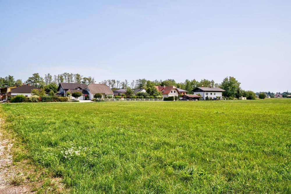 Idyllische Landschaft mit weiten Wiesen und einer Reihe von Wohnhäusern am Waldrand.