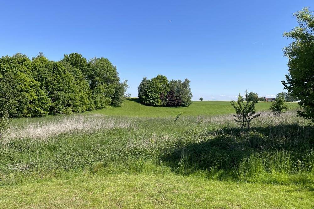 Weite grüne Landschaft mit Feldern und Bäumen unter klarem blauem Himmel.