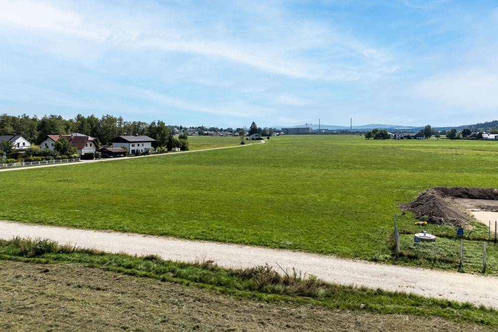 Panoramablick über weite grüne Felder mit vereinzelten Häusern am Horizont unter blauem Himmel.