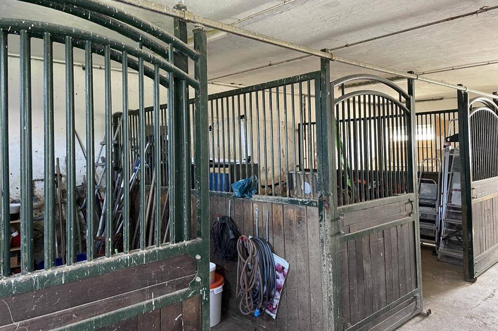 Innenansicht eines Stalls mit Metallgittern und Holzabtrennungen, genutzt als Abstellraum.