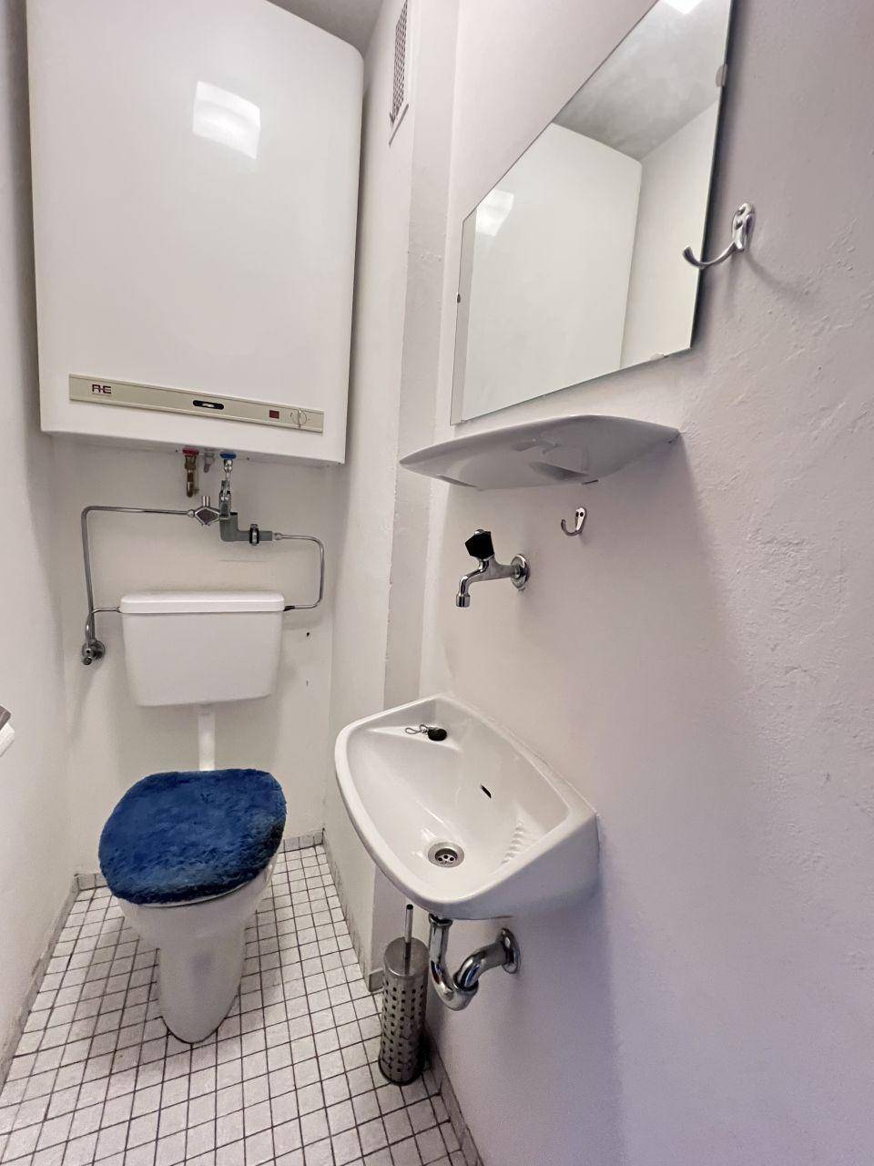 Kleines WC mit Toilette, Handwaschbecken und Warmwasserboiler an der Wand.