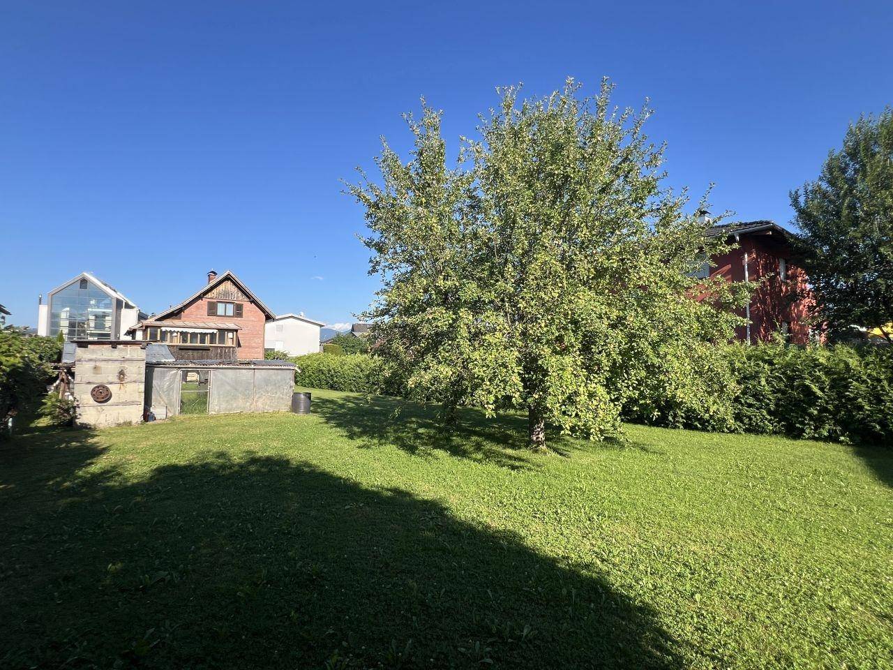 Sonniger Garten mit einem Obstbaum, Rasenfläche und Blick auf die Nachbarschaftshäuser.