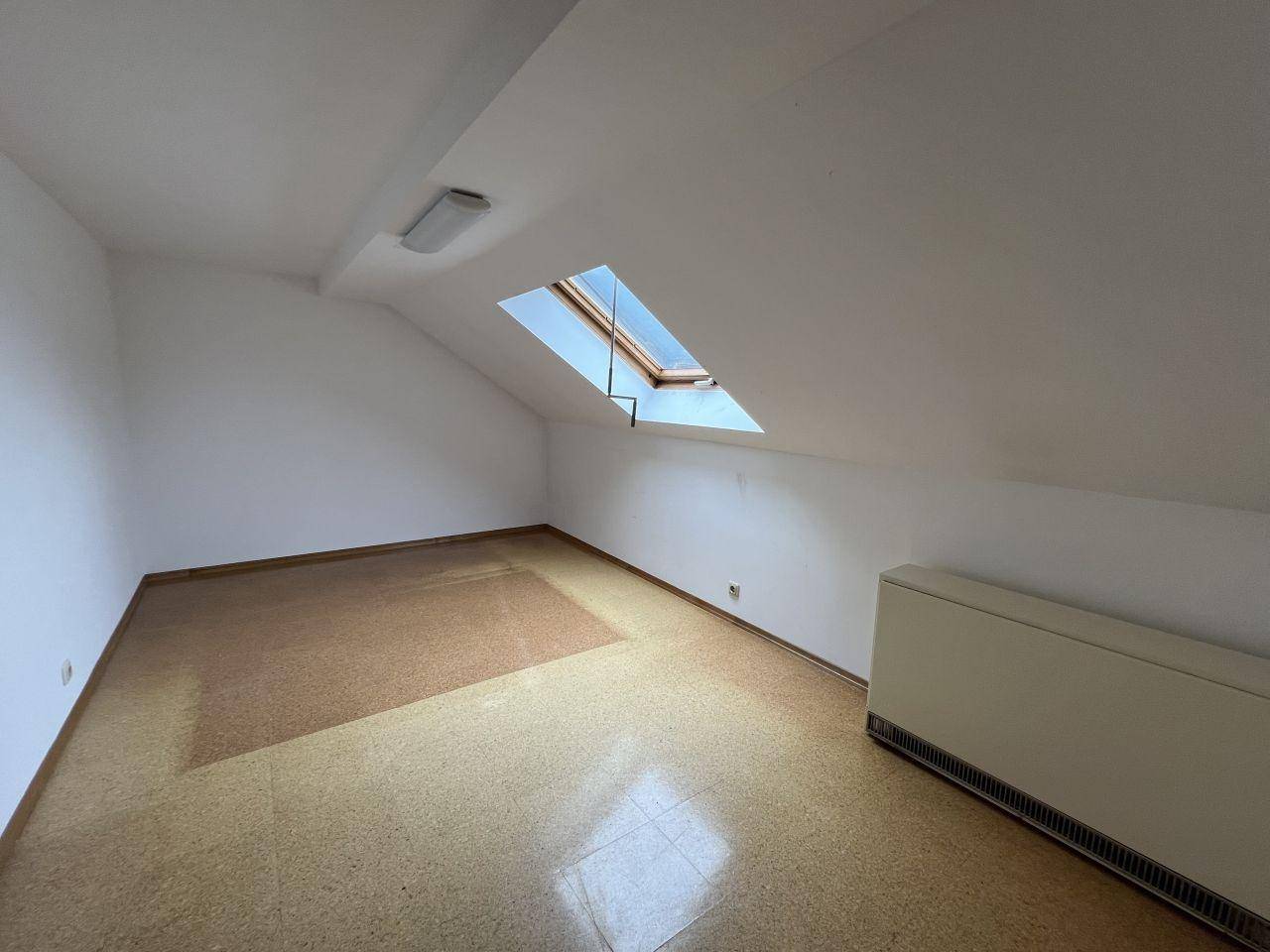 Zimmer DG