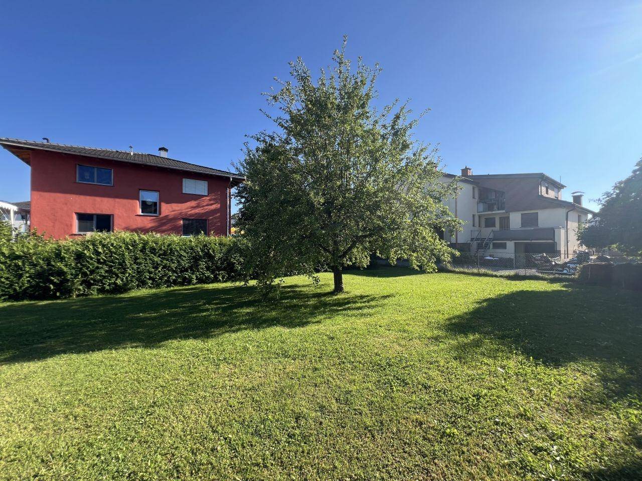 Weitläufiger Gartenbereich mit einem großen Baum und umliegenden Wohnhäusern unter blauem Himmel.