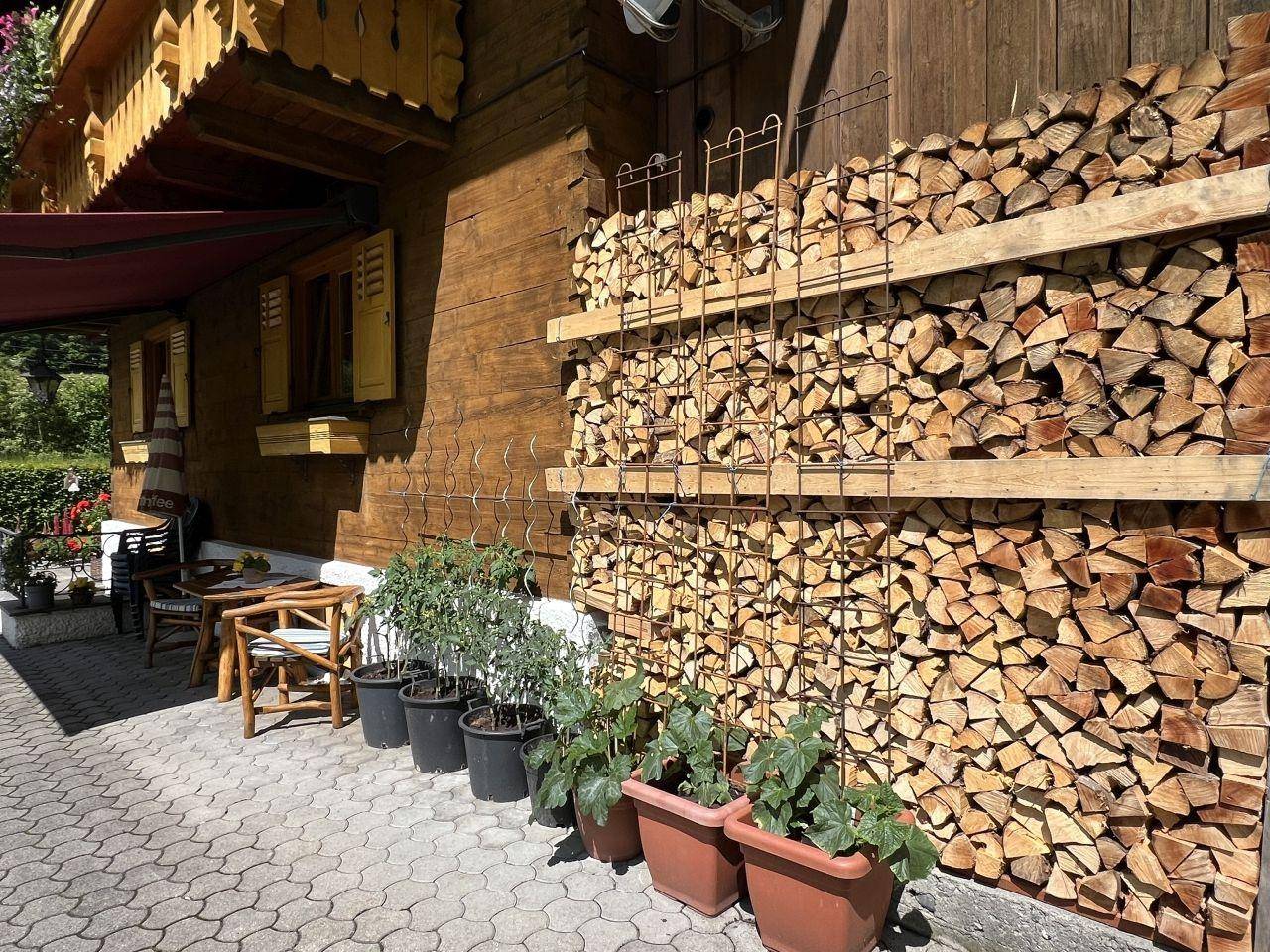 Detailansicht der Hausfassade mit ordentlich gestapeltem Brennholz und kleinen Pflanzen.