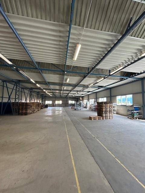 Geräumige Lagerhalle mit hoher Decke, Betonboden und natürlichem Lichteinfall durch Fenster.
