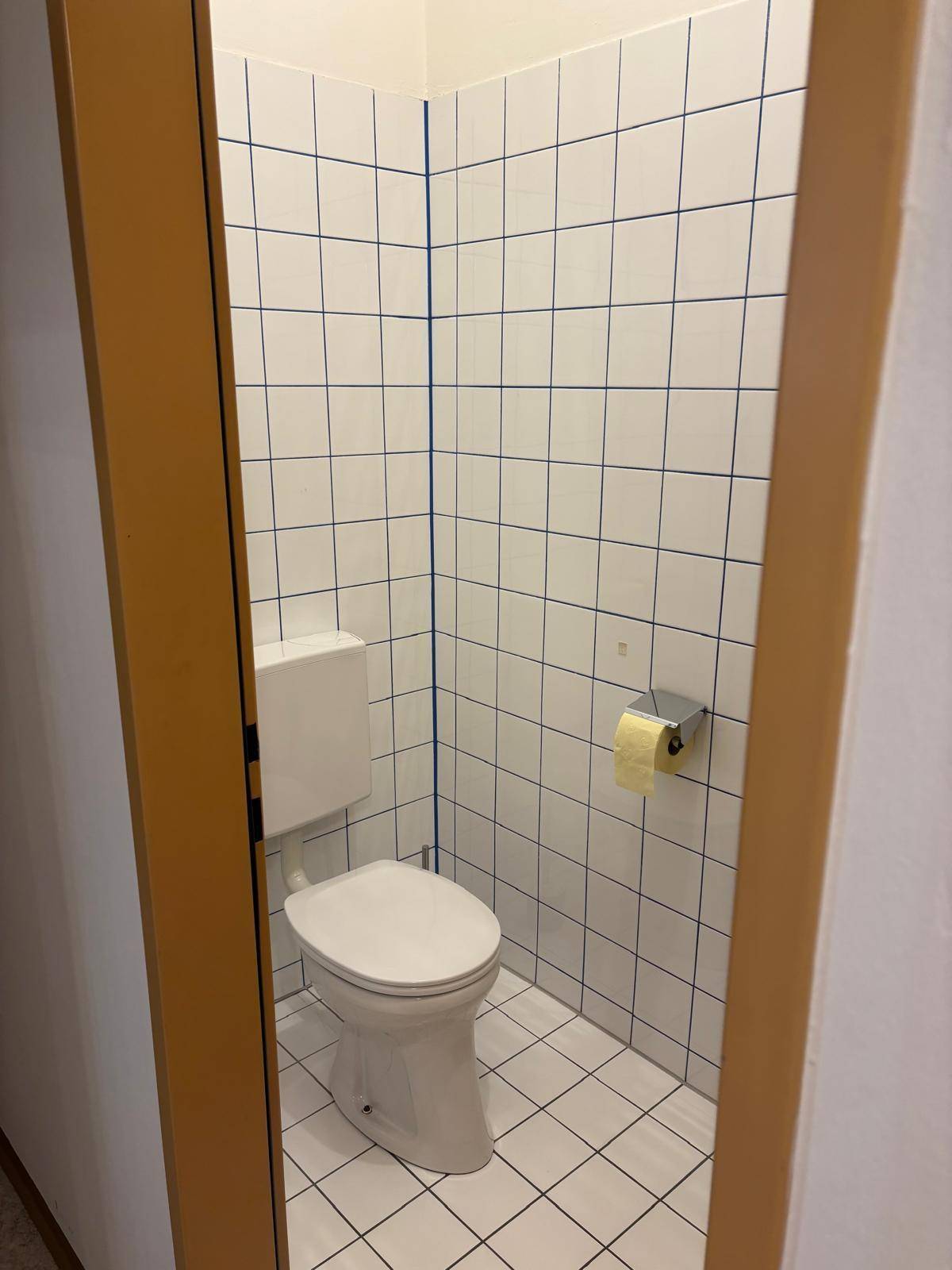 Separates WC mit weißen Fliesen und blauen Fugen, funktional und einfach gestaltet.