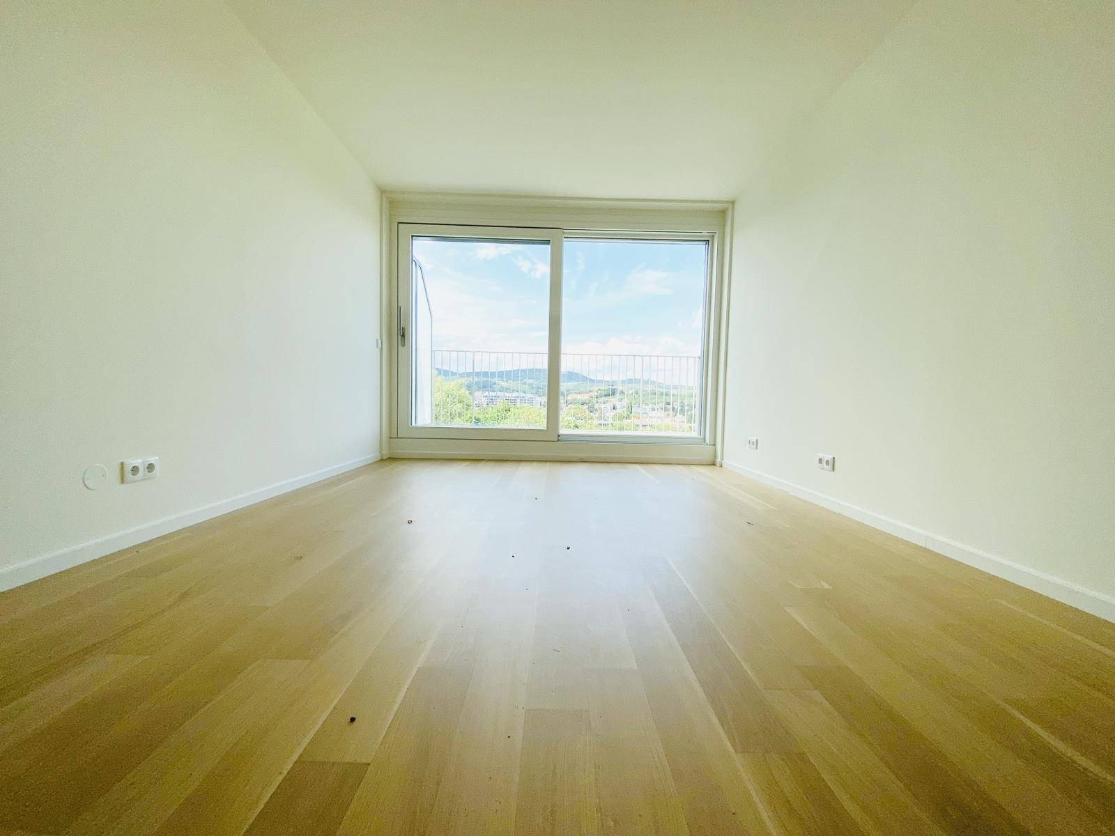 Heller Raum mit Holzboden und großer Schiebetür, bietet weite Aussicht und viel Tageslicht.