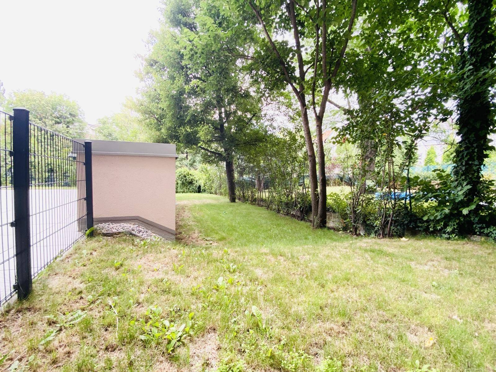 Gepflegter Gartenbereich mit Rasen, Bäumen und einem Zaun an der Grundstücksgrenze.