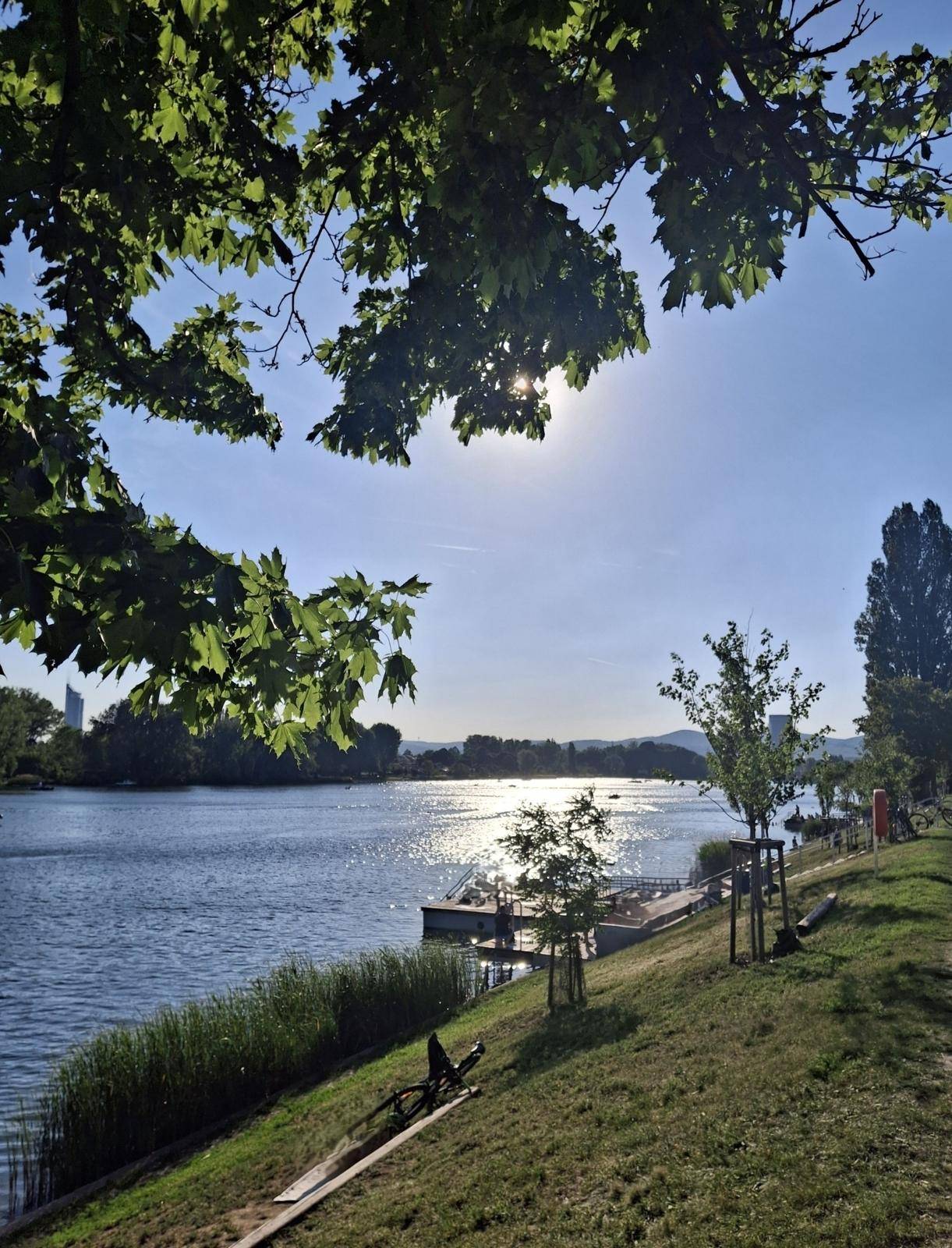 Obere Alte Donau