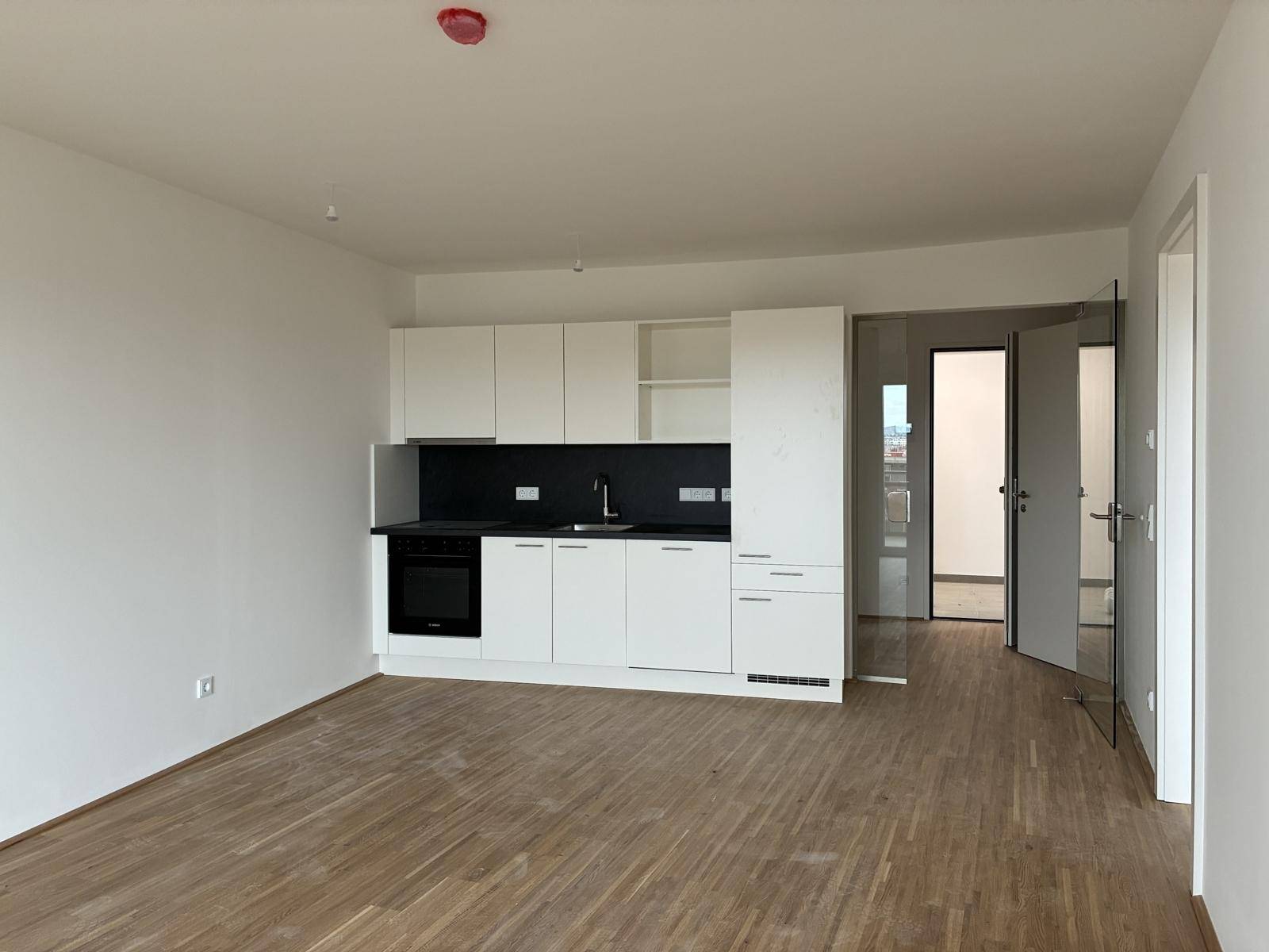 Moderne Einbauküche mit weißen Schränken und dunkler Arbeitsplatte in einem offenen Wohnbereich.