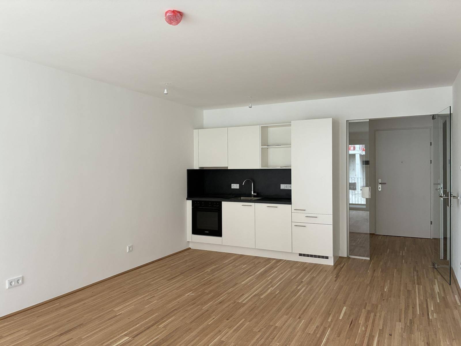 Neue Küchenzeile mit weißen Fronten und dunkler Rückwand in einem hellen Wohnraum.