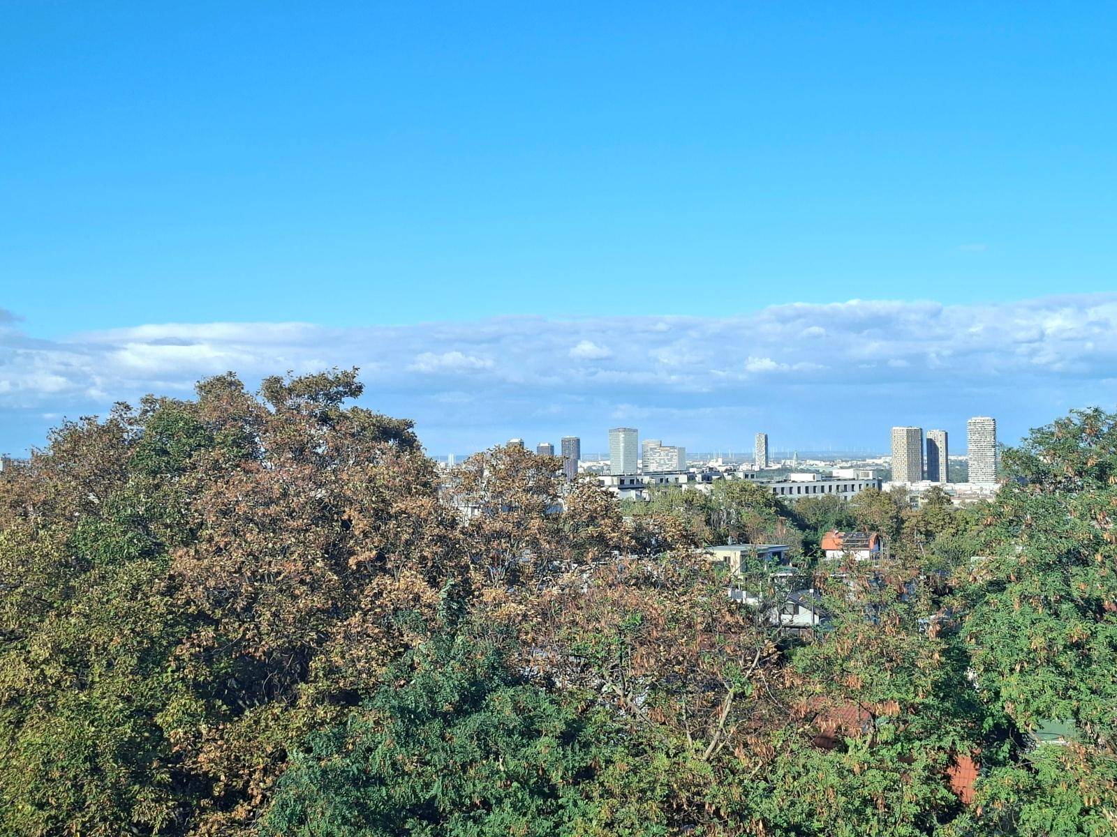 Panoramablick auf die Stadtlandschaft mit Hochhäusern, umgeben von herbstlichen Baumwipfeln.