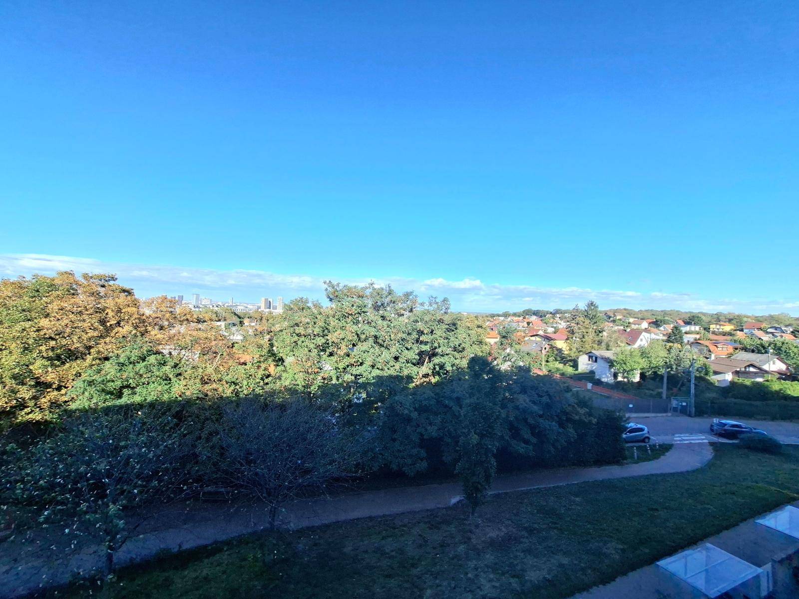 Weitläufiger Blick über grüne Baumwipfel und die Dächer der Stadt unter blauem Himmel.