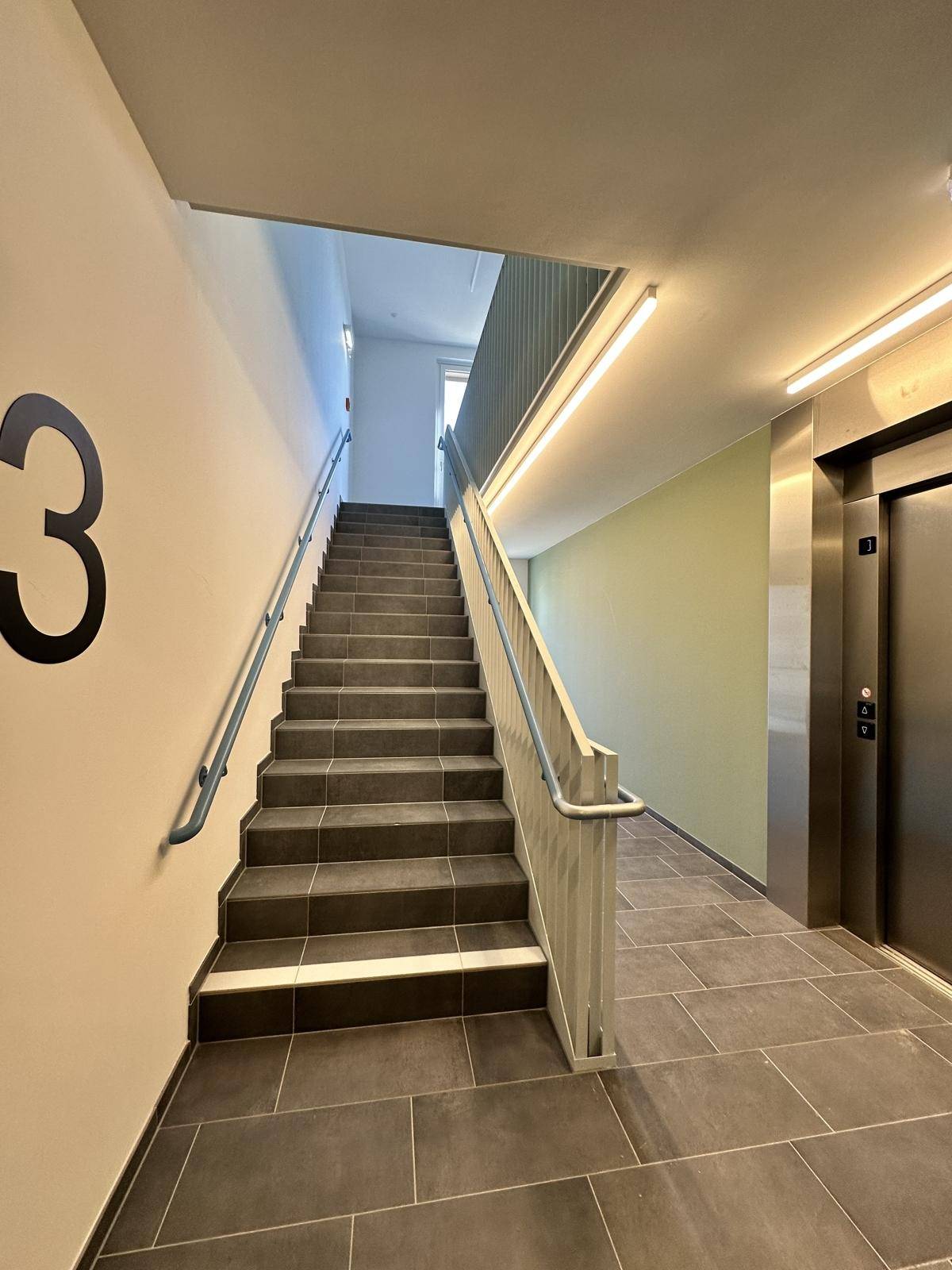Treppenhaus mit Aufzug und modernem Design in einem Neubau, gut beleuchtet und zugänglich.