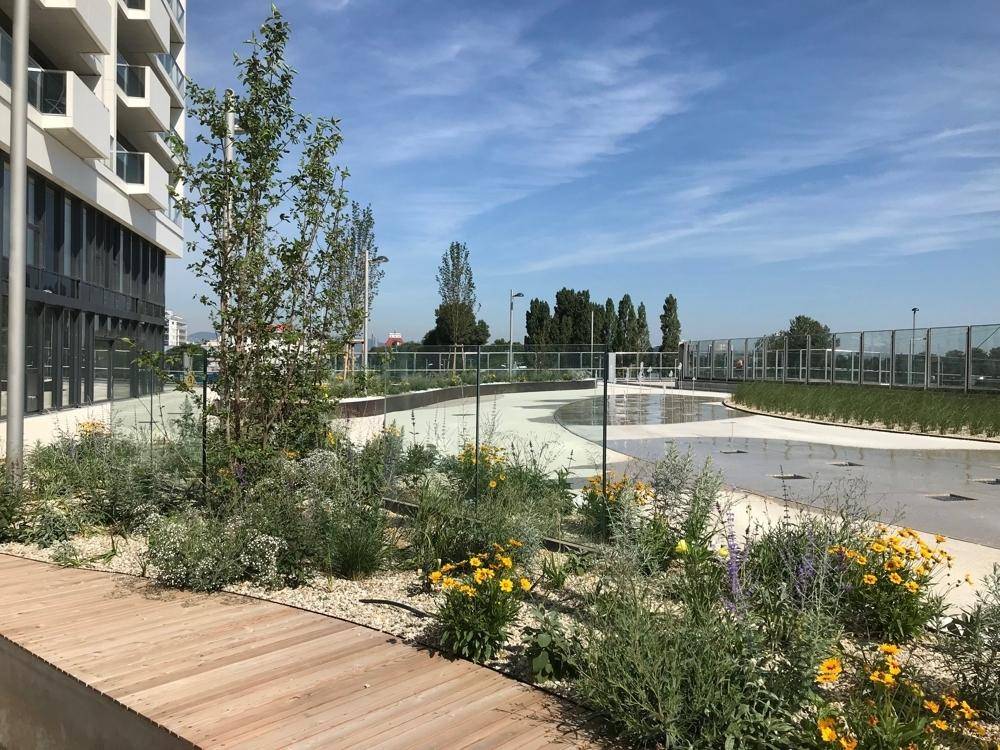 Moderner Gebäudekomplex mit gepflegtem Innenhof, grünen Beeten und einem dekorativen Wasserbecken unter blauem Himmel.