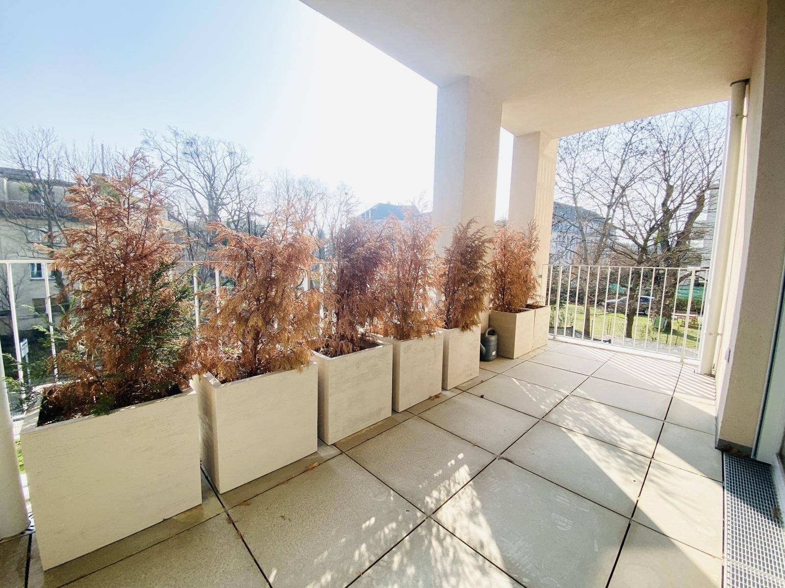 Sonniger Balkon mit großen Pflanzkübeln und Fliesenboden.