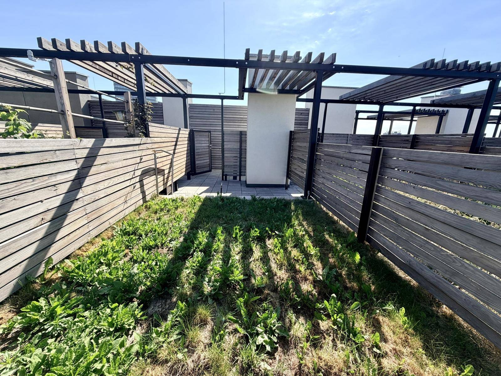 Dachgartenbereich mit grüner Rasenfläche, umgeben von Holzzäunen und modernen Pergola-Strukturen.
