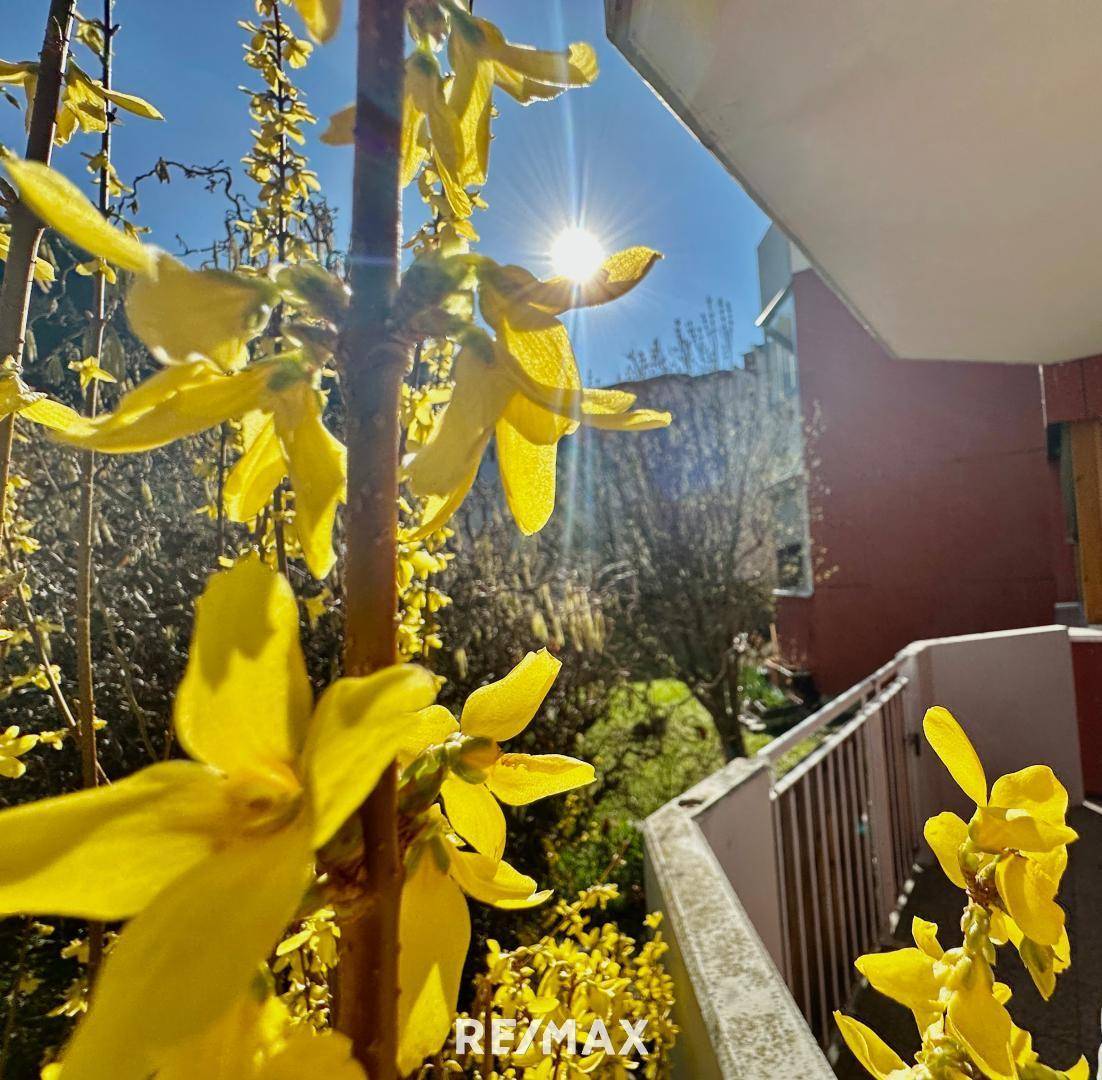 Balkon mit Zugang in den Allgemeingarten