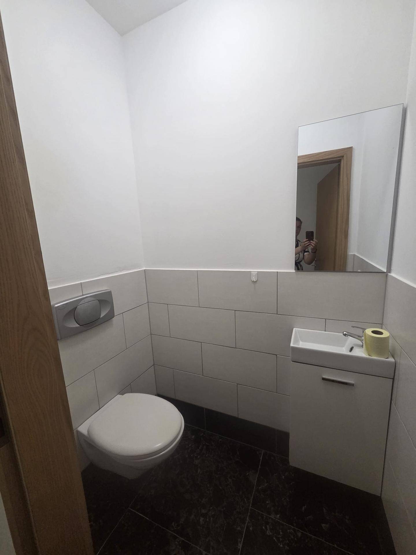Modernes Gäste-WC mit wandhängender Toilette, kleinem Waschbecken und Spiegel.