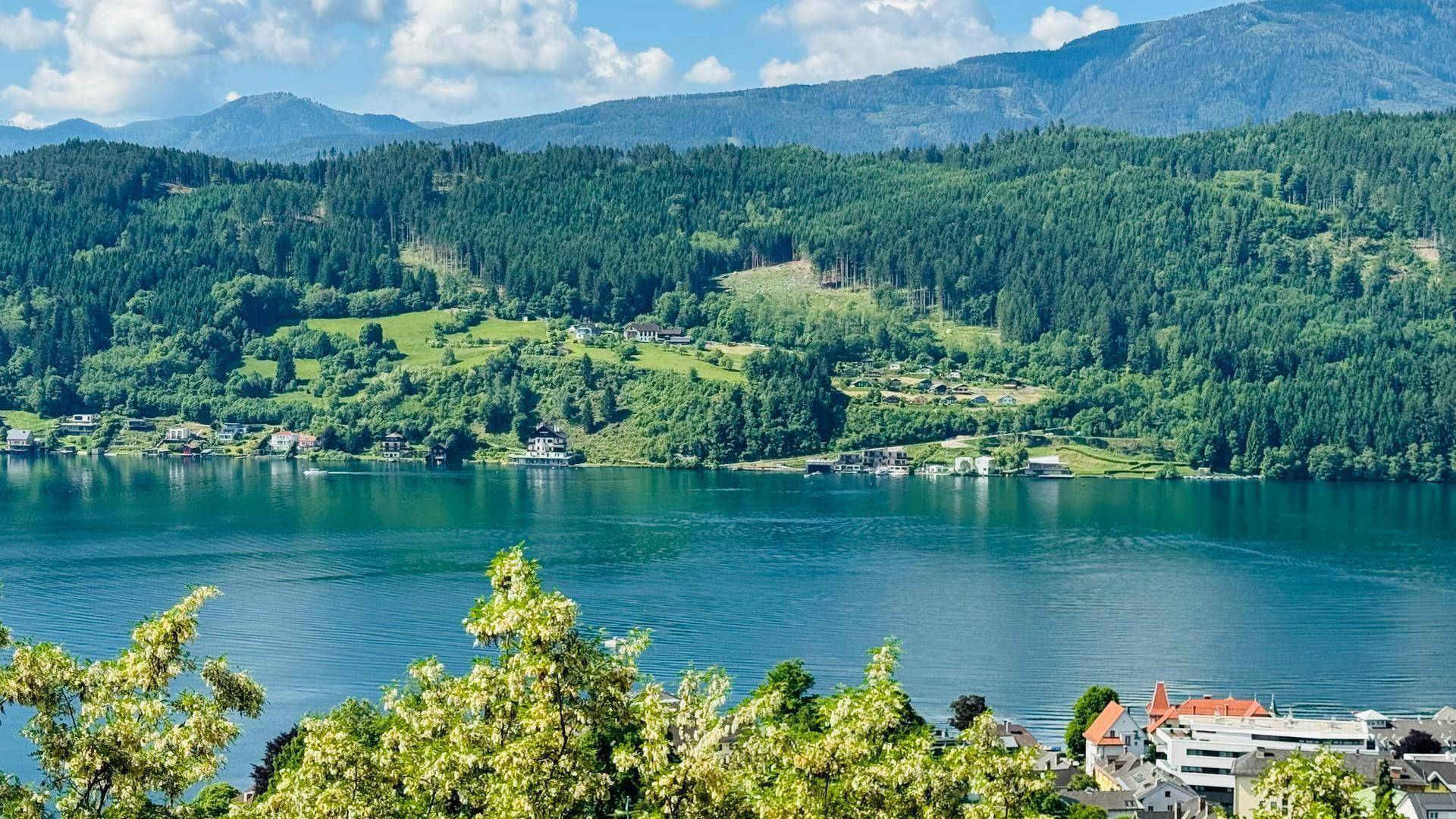 Panoramablick über den Millstätter See mit bewaldeten Hügeln und vereinzelten Häusern am Ufer.