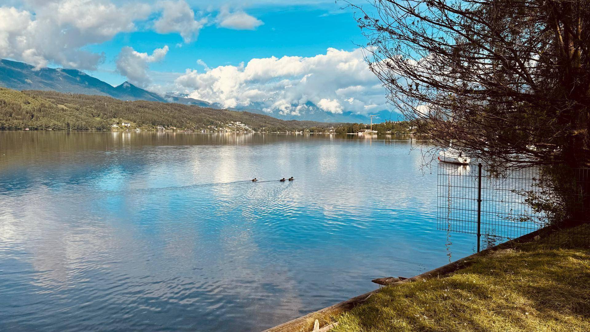 Idyllischer Blick auf einen ruhigen See mit Enten, umgeben von grünen Bergen unter blauem Himmel.