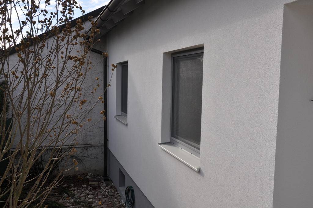 Seitenansicht des Hauses mit zwei Fenstern und schlichter weißer Fassade, umgeben von Vegetation.