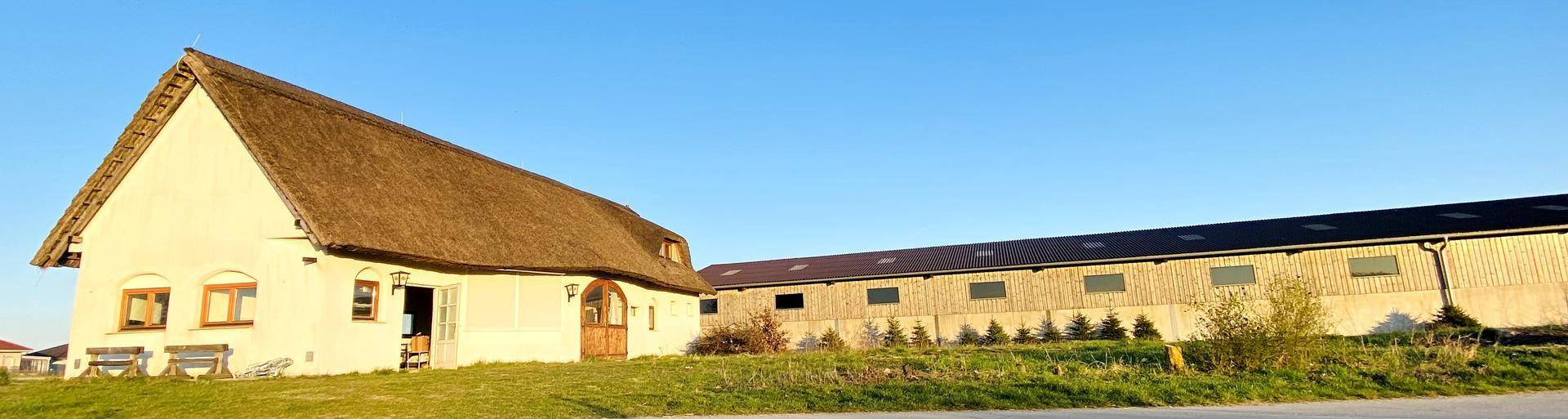 Gesamtanblick des reetgedeckten Gebäudes und eines angrenzenden langen Nebengebäudes in ländlicher Umgebung.