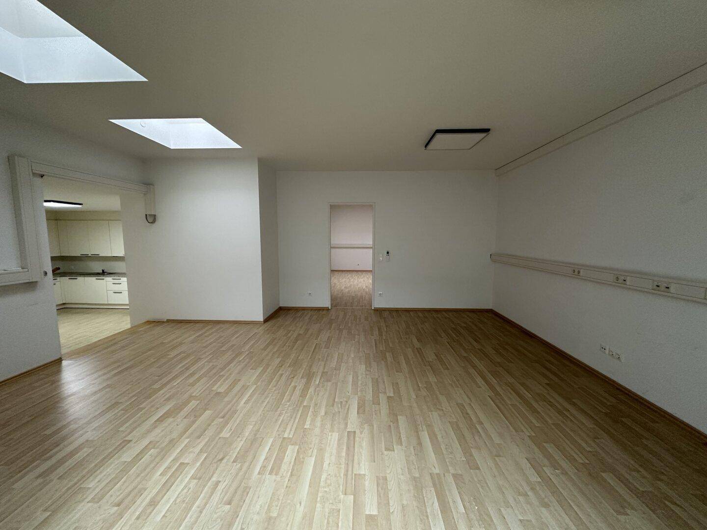 Geräumiger Raum mit Laminatboden, Dachfenstern und Durchgängen zu angrenzenden Zimmern.