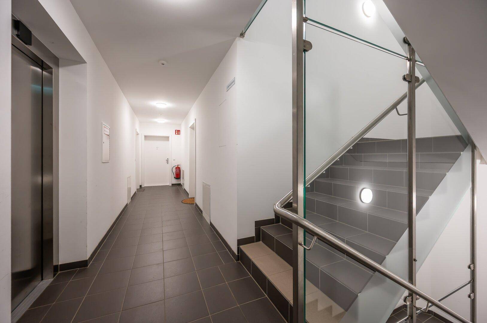 Heller Hausflur mit modernem Treppenhaus aus Glas und Edelstahl sowie einem Aufzug.