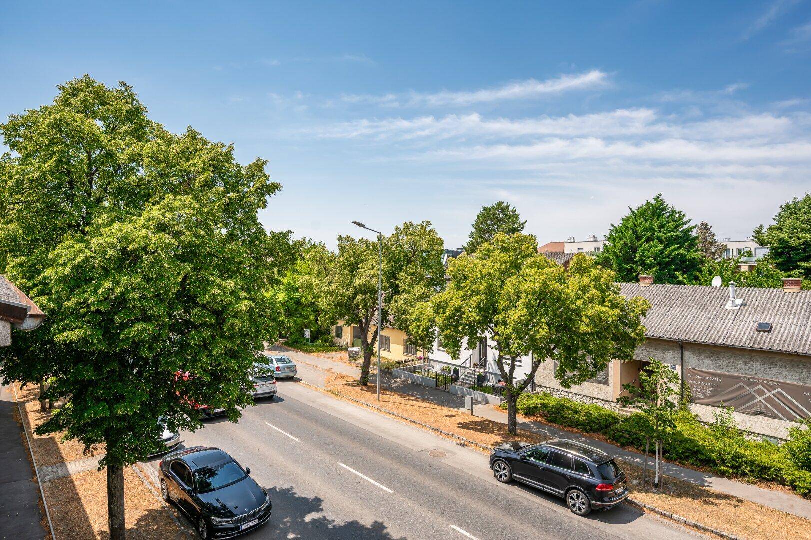 Weitblick über eine von Bäumen gesäumte Straße mit parkenden Autos und Wohngebäuden.