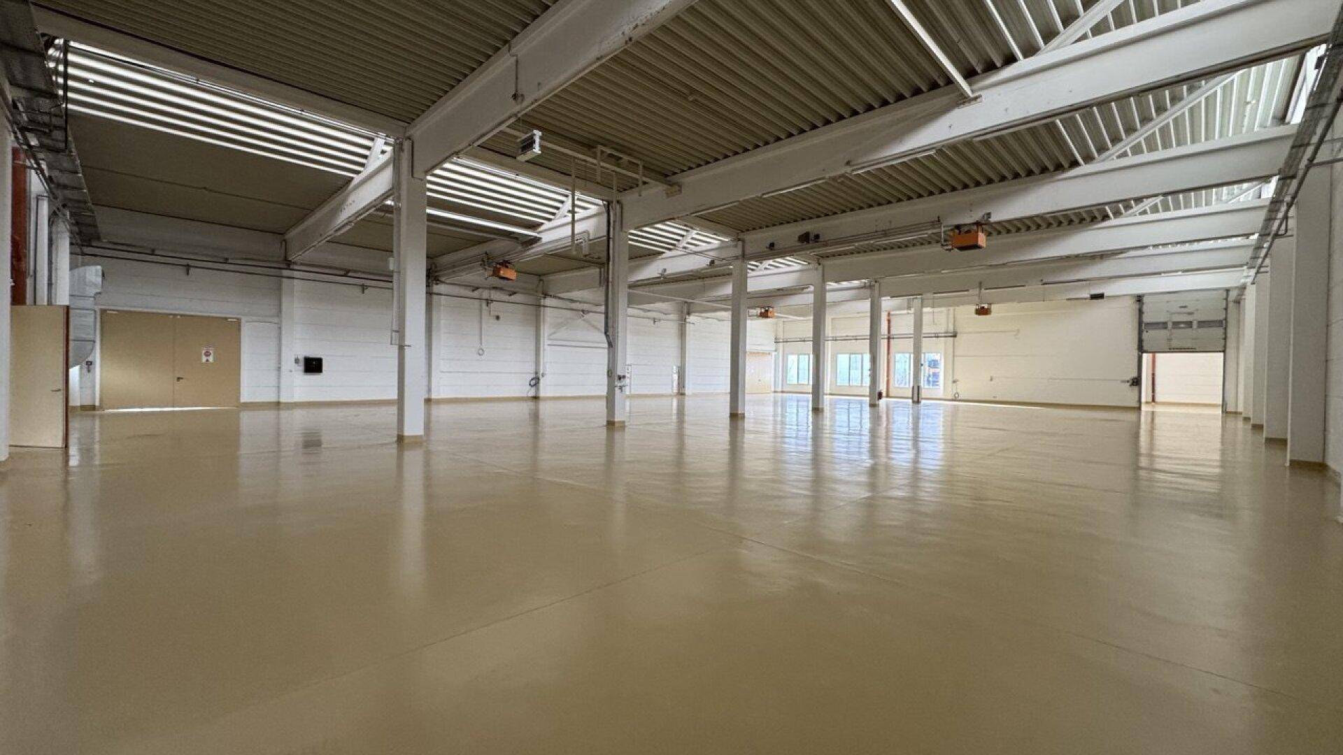Weitläufige Lagerhalle mit vielen Stützpfeilern, hohen Decken und großen Fenstern für viel Tageslicht.