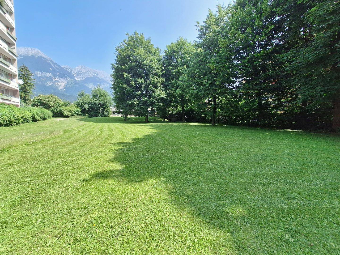 Garten Allg