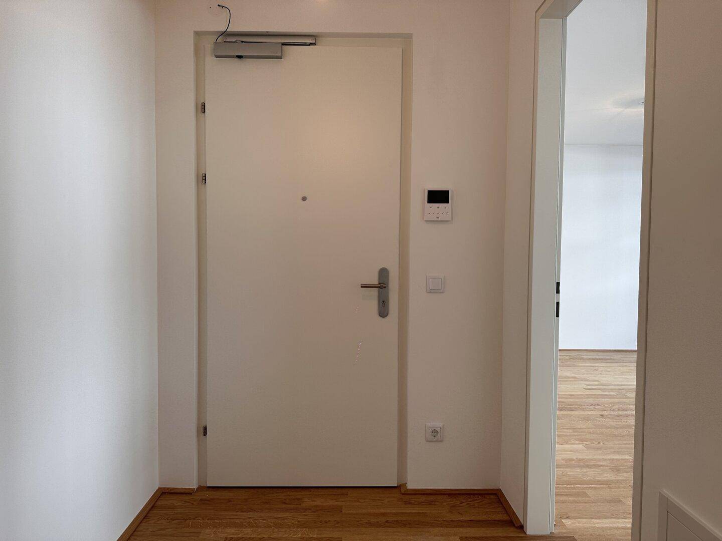 Eingangsbereich einer Wohnung mit heller Tür und Parkettboden, Blick in den Flur.
