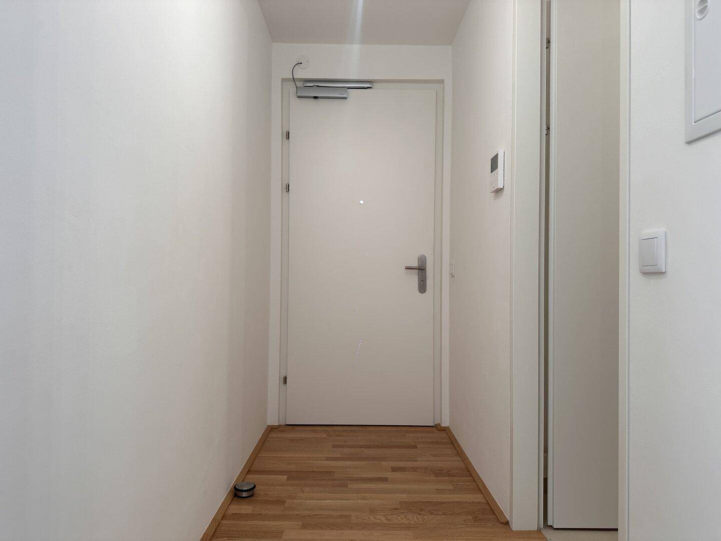 Heller Eingangsbereich mit Holzboden und weiß gestrichenen Wänden, führt zu weiteren Räumen.