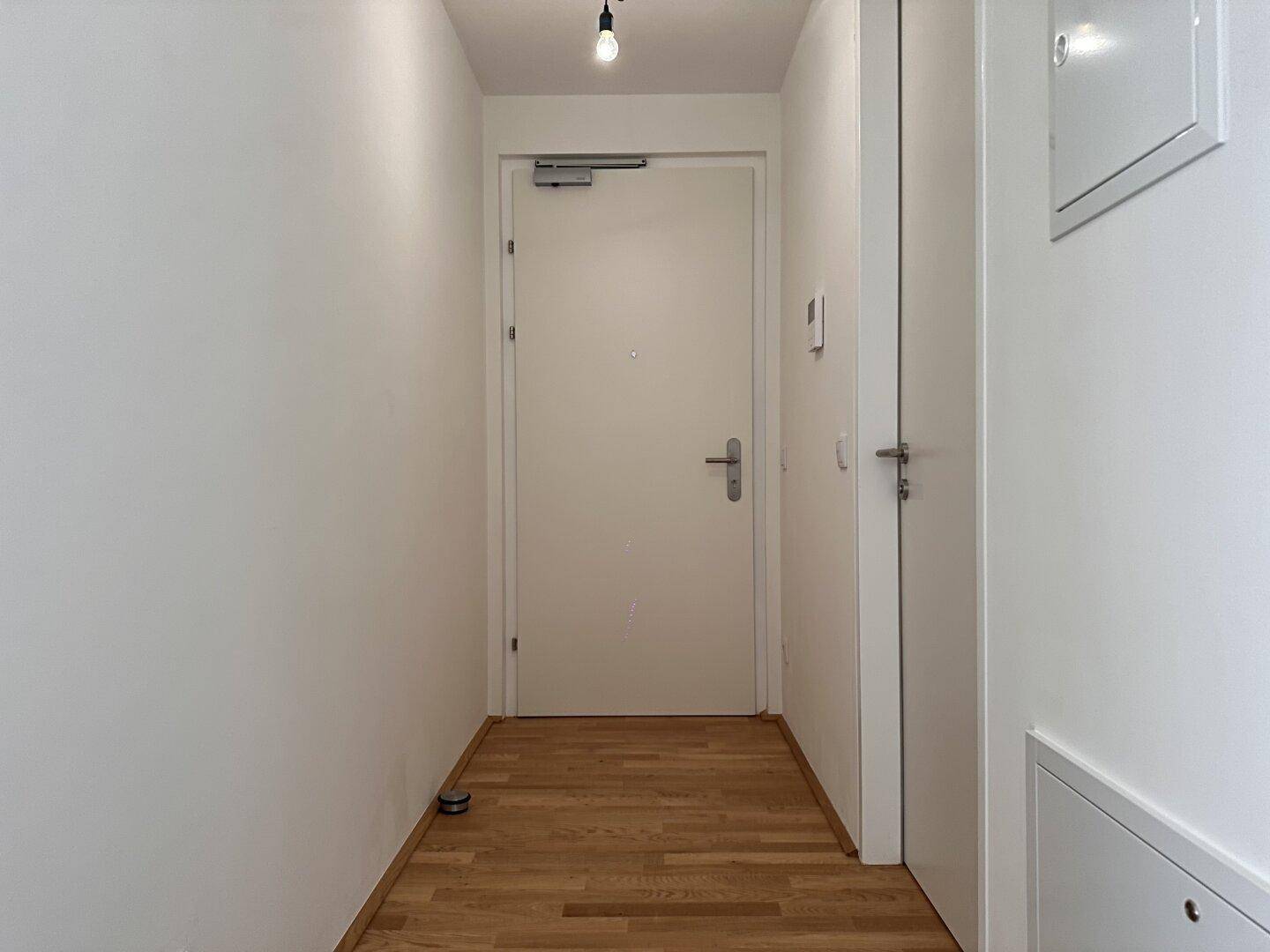 Heller Eingangsbereich mit Holzboden und weißer Tür, der zu den weiteren Räumen führt.