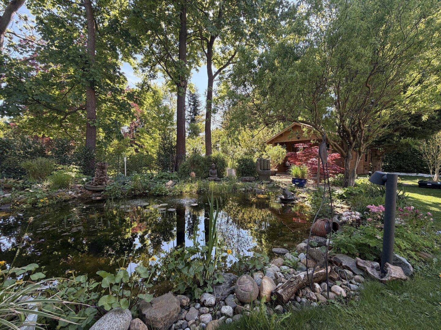 Naturnaher Gartenteich mit Felsen und üppiger Bepflanzung, umgeben von hohen Bäumen.