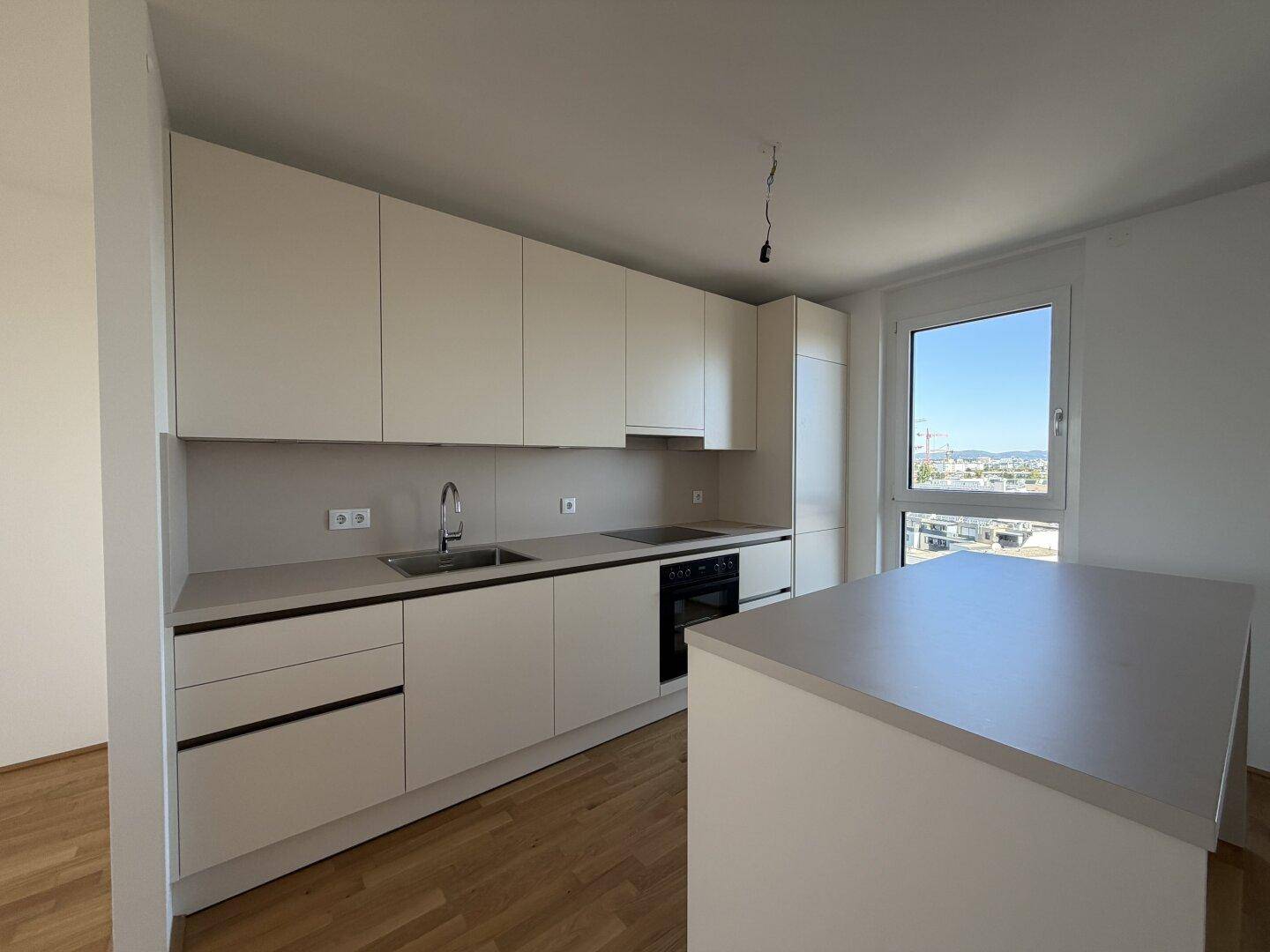 Detailansicht einer modernen Einbauküche mit Spüle, Kochfeld und Backofen, integriert in helle Schränke.