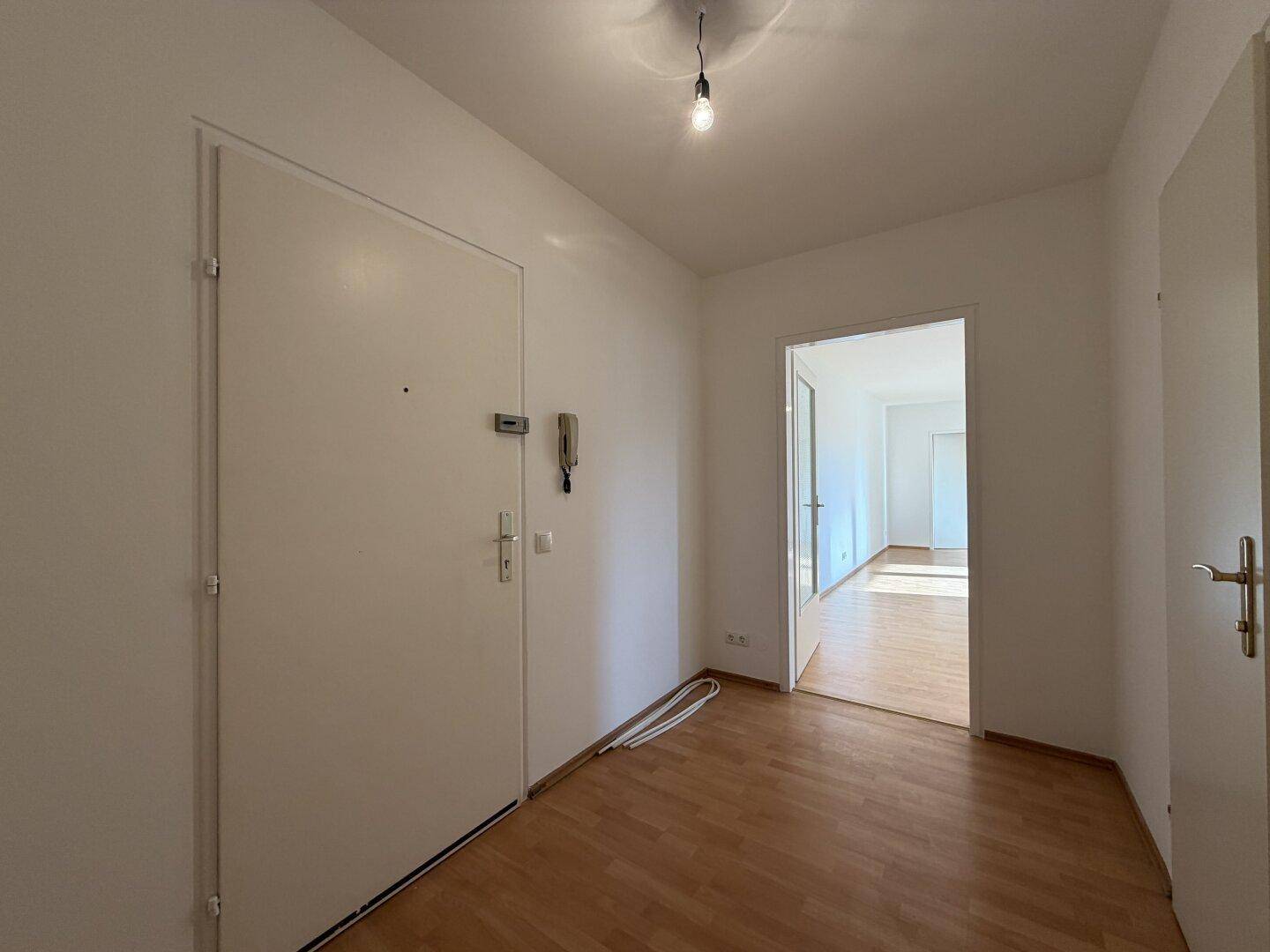 Eingangsbereich mit Laminatboden und Gegensprechanlage, der einen ersten Blick in die Wohnung bietet.