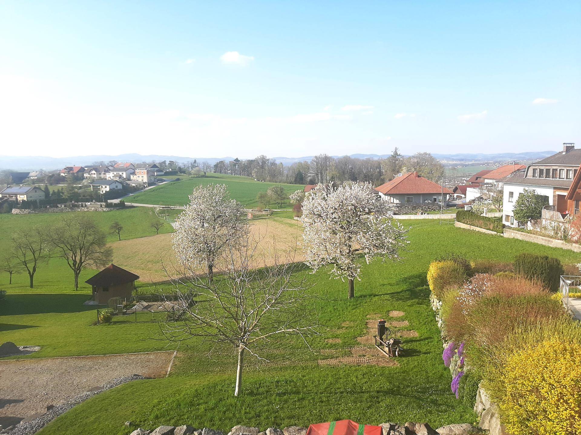 Weitläufiger Gartenbereich mit blühenden Bäumen und idyllischem Blick auf die umliegende Landschaft.