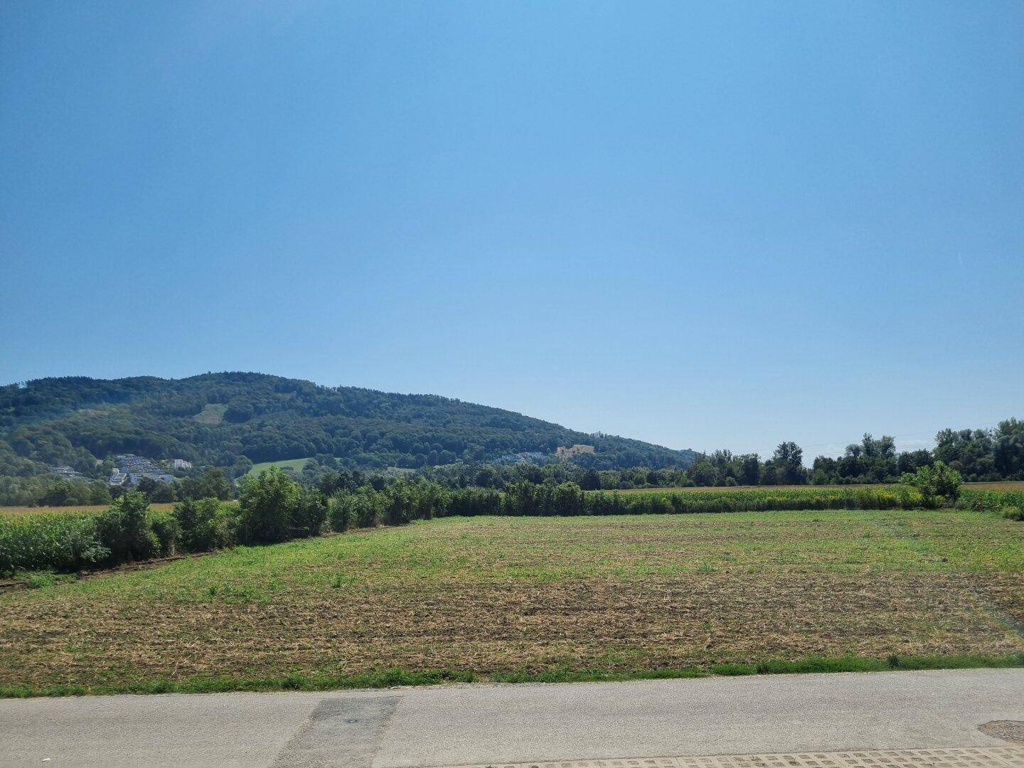 Weitläufige Landschaft mit Feldern, Wäldern und Bergen unter klarem, blauem Himmel.