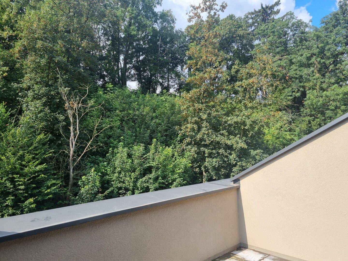 Blick von einem Balkon oder einer Terrasse auf eine üppige grüne Baumlandschaft.
