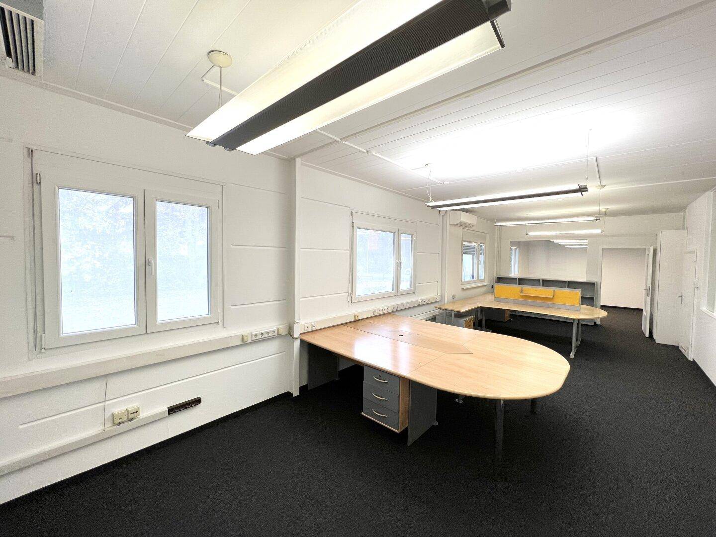 Geräumiges und helles Büro mit mehreren Arbeitsplätzen, Teppichboden und großen Fenstern für viel Tageslicht.