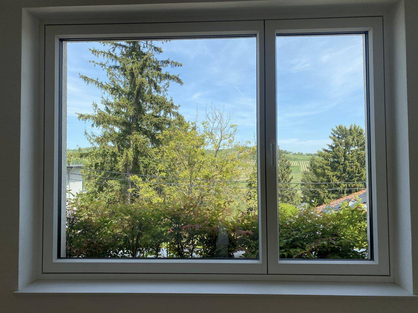 Fensterblick auf grüne Bäume und die umliegende Landschaft mit Weinbergen.