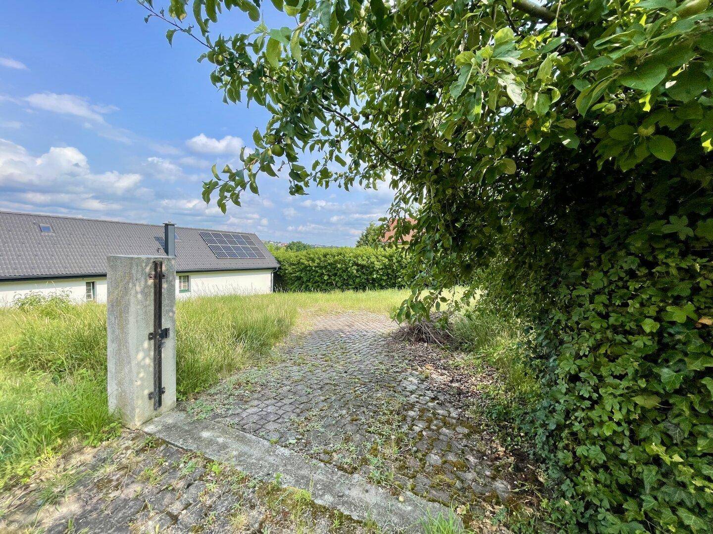 Gepflasterte Zufahrt zu einem Grundstück mit einem Haus im Hintergrund und üppiger Vegetation.